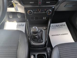 FORD EcoSport usata, con Interni in pelle