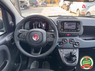 FIAT Panda usata, con USB