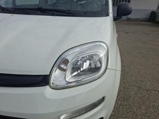 FIAT Panda usata 22