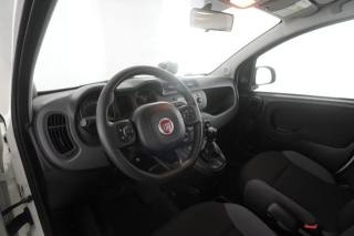 FIAT Panda usata 1