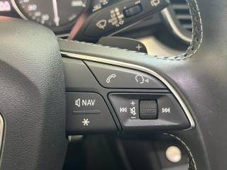 AUDI SQ5 usata, con Servosterzo