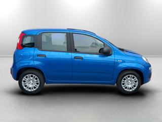 FIAT Panda usata 3