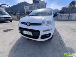 FIAT Panda usata, con Marmitta catalitica