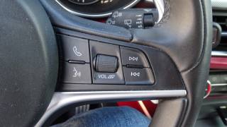 ALFA ROMEO Stelvio usata 90