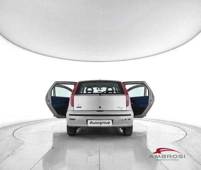 FIAT Punto usata 6