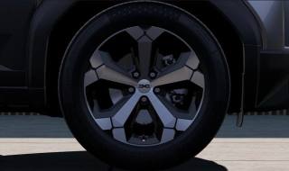 DACIA Duster usata, con Immobilizzatore elettronico