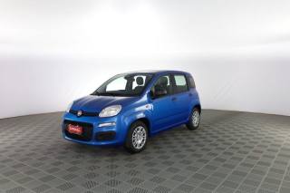 FIAT Panda usata 6
