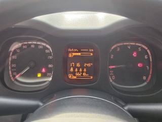 FIAT Panda usata, con Cronologia tagliandi