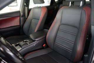 LEXUS NX 300h usata, con Cruise Control