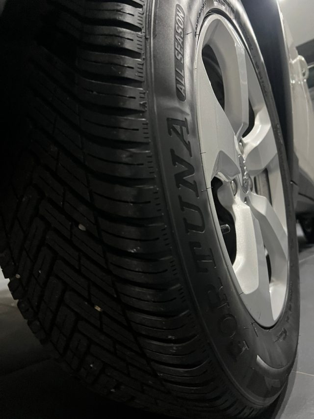 JEEP Compass usata, con Cronologia tagliandi