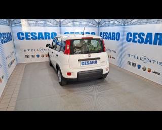 FIAT New Panda usata, con Alzacristalli elettrici