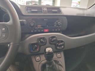 FIAT Panda usata 14