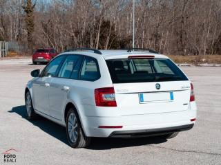 SKODA Octavia usata, con Servosterzo