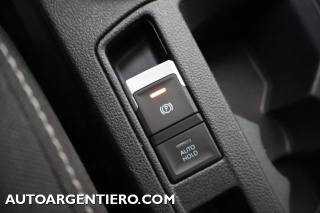 VOLKSWAGEN T-Roc usata, con Vetri oscurati