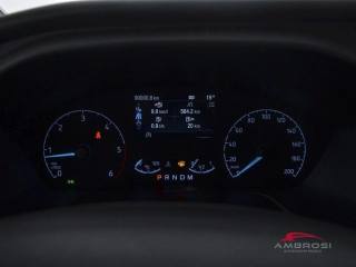 FORD Tourneo Custom usata 14