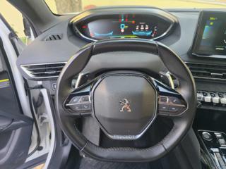 PEUGEOT 3008 usata, con Servosterzo