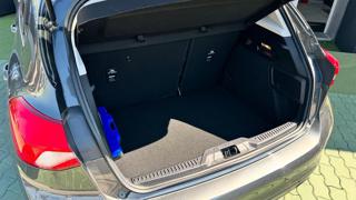 FORD Focus usata, con Servosterzo