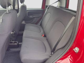 FIAT Panda usata 12