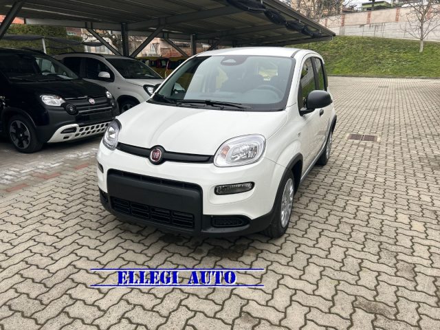 FIAT Panda usata, con Controllo trazione