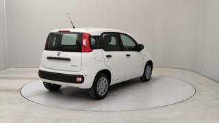 FIAT Panda usata, con Alzacristalli elettrici