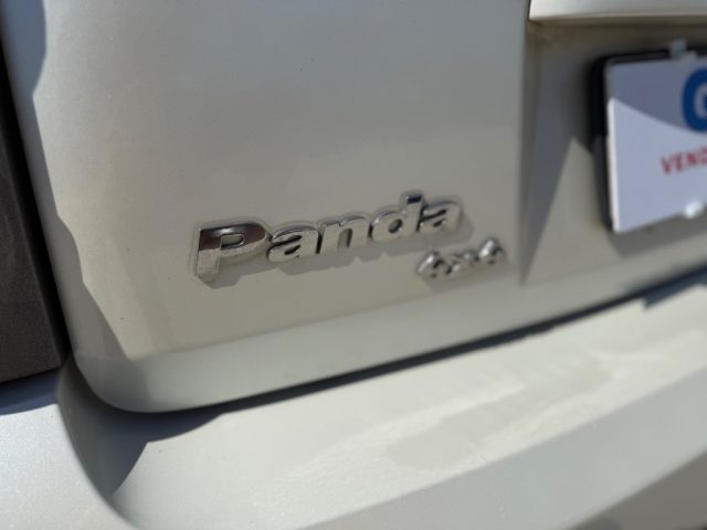 FIAT Panda usata, con Fendinebbia