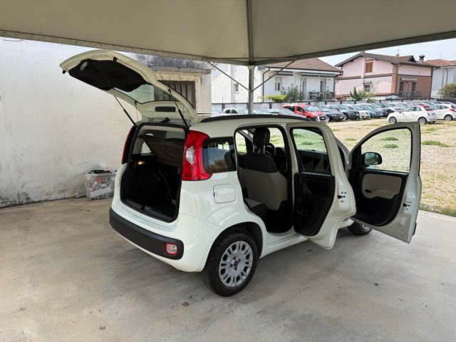 FIAT Panda usata 47