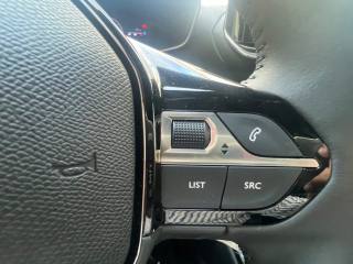 PEUGEOT 2008 usata, con Vetri oscurati