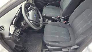 FORD Fiesta usata, con Fendinebbia