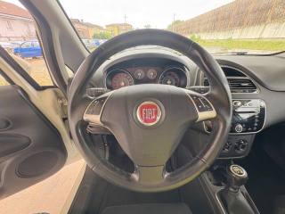 FIAT Punto usata, con Controllo trazione