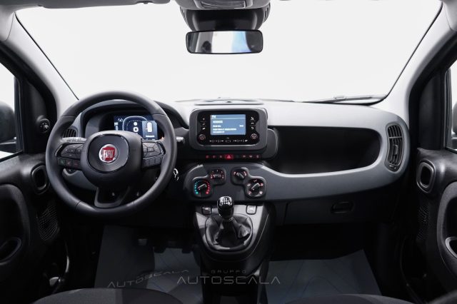FIAT New Panda usata, con Airbag testa