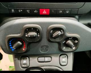 FIAT Panda usata, con Kit antipanne