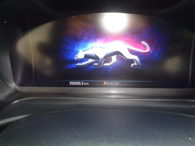 FORD Puma usata, con Sistema di navigazione