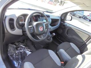FIAT Panda usata 18