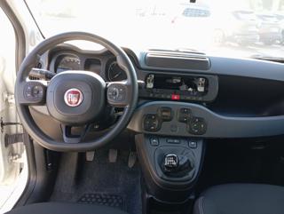 FIAT Panda Cross usata, con Chiusura centralizzata