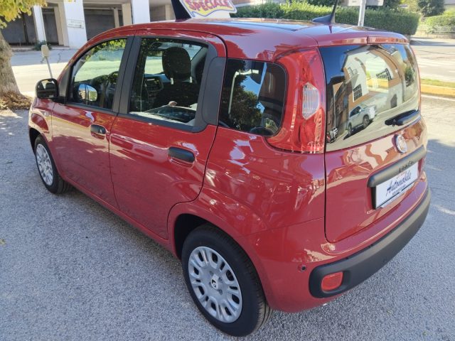 FIAT Panda usata, con Boardcomputer