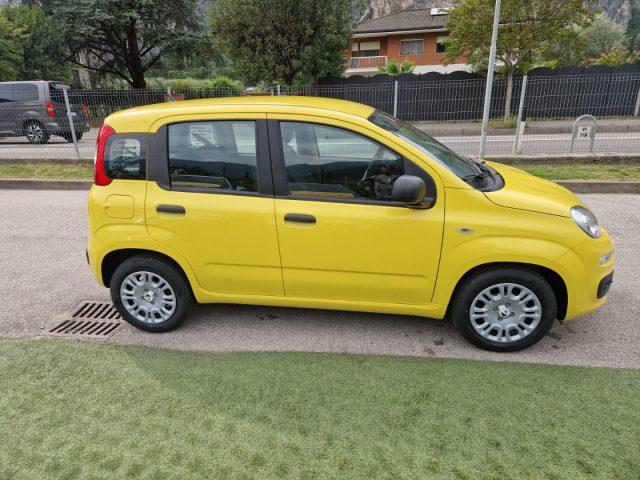 FIAT Pandina usata, con Chiusura centralizzata