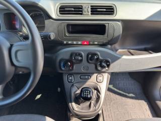 FIAT Panda usata 11