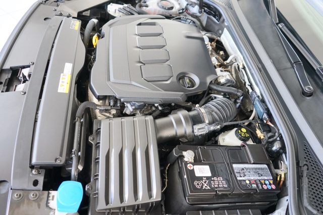 VOLKSWAGEN Passat Variant usata 59