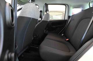 FIAT Panda usata, con Immobilizzatore elettronico