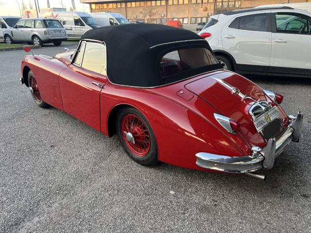 JAGUAR XK usata 5