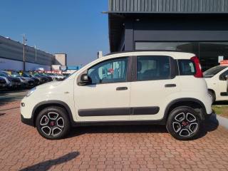 FIAT Panda usata, con Antifurto