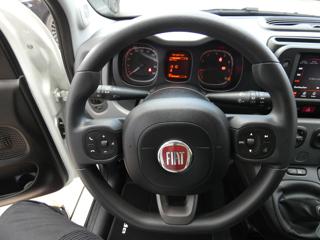FIAT Panda usata, con Controllo trazione