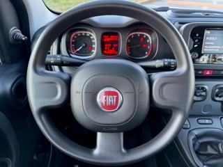FIAT Panda usata, con Controllo trazione