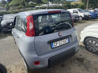 FIAT Panda usata, con Alzacristalli elettrici