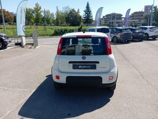 FIAT Panda usata, con Antifurto