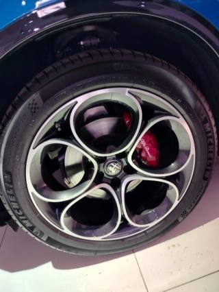 ALFA ROMEO Stelvio usata, con Servosterzo