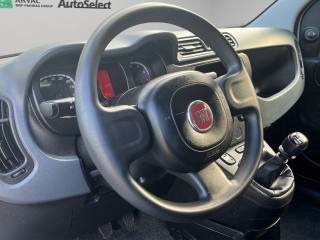 FIAT Panda usata, con Servosterzo