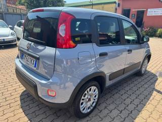 FIAT Panda usata, con Airbag Passeggero