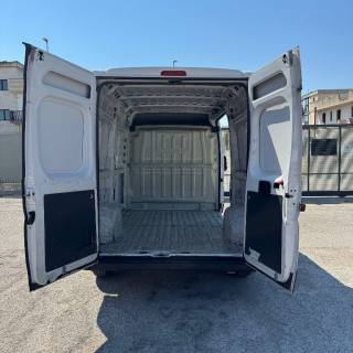 FIAT  usata 12