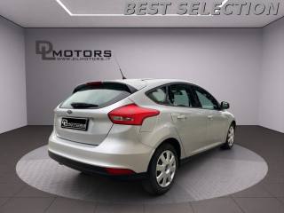 FORD Focus usata, con Fendinebbia